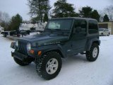 2003 Shale Green Metallic Jeep Wrangler Rubicon 4x4 #24436574