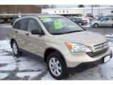 2007 Borrego Beige Metallic Honda CR-V EX 4WD #24493425