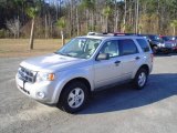 2009 Brilliant Silver Metallic Ford Escape XLT V6 #24493662