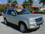 2007 Silver Birch Metallic Ford Explorer XLT #24588367