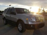 2007 Silver Birch Metallic Ford Expedition XLT #24588671