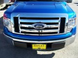 2009 Blue Flame Metallic Ford F150 XLT SuperCrew #24588451