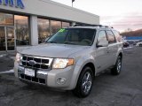 2008 Light Sage Metallic Ford Escape Limited 4WD #24588704