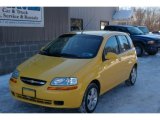 2008 Summer Yellow Chevrolet Aveo Aveo5 LS #24588768