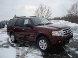 2010 Royal Red Metallic Ford Expedition XLT 4x4 #24588561