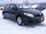 2010 Black Sand Pearl Toyota Corolla LE #24587925