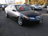2005 Abyss Blue Pearl Acura TL 3.2 #24588003