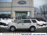 2010 White Suede Ford Escape XLT V6 4WD #24588128