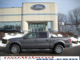 2010 Sterling Grey Metallic Ford F150 XLT SuperCrew 4x4 #24588130