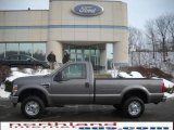 Sterling Gray Metallic Ford F250 Super Duty in 2010