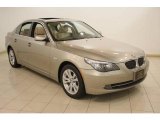 2010 Platinum Bronze Metallic BMW 5 Series 535i xDrive Sedan #24589413