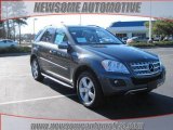 2010 Steel Grey Metallic Mercedes-Benz ML 350 #24589592