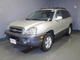 2006 Hyundai Santa Fe GLS 4WD