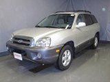 2006 Pewter Hyundai Santa Fe GLS 4WD #24693700