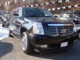 2009 Black Raven Cadillac Escalade ESV AWD #24693928