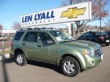 2008 Ford Escape XLT V6 4WD