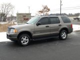 2004 Mineral Grey Metallic Ford Explorer XLT 4x4 #24753423