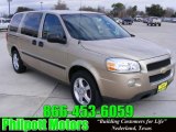 2006 Amber Bronze Metallic Chevrolet Uplander LS #24945107