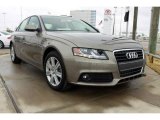 2010 Dakar Beige Metallic Audi A4 2.0T Sedan #24999339