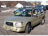 2003 Sierra Gold Metallic Subaru Forester 2.5 XS #25062176