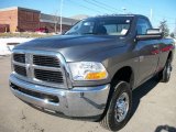 Mineral Gray Metallic Dodge Ram 2500 in 2010