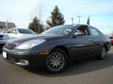 2004 Graphite Metallic Lexus ES 330 #25062828