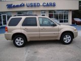 2007 Dune Pearl Metallic Ford Escape Hybrid 4WD #25062884