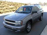 2008 Graystone Metallic Chevrolet TrailBlazer LS #25146315