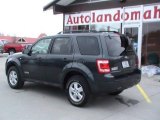 2008 Black Pearl Slate Metallic Ford Escape XLT V6 4WD #25092157