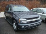 Dark Gray Metallic Chevrolet TrailBlazer in 2003