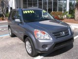 2005 Pewter Pearl Honda CR-V Special Edition 4WD #2508879