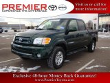 2004 Imperial Jade Mica Toyota Tundra Limited Double Cab 4x4 #25299969