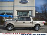 2010 Pueblo Gold Metallic Ford F150 XLT SuperCrew 4x4 #25299777