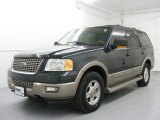 2003 Estate Green Metallic Ford Expedition Eddie Bauer 4x4 #25300260