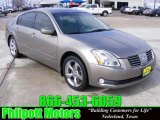 2005 Spirited Bronze Pearl Nissan Maxima 3.5 SE #25352590