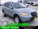 2008 Platinum Sage Hyundai Santa Fe GLS #25352591