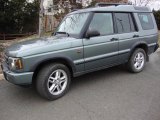 2004 Vienna Green Land Rover Discovery SE #25352765