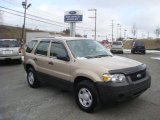 2007 Dune Pearl Metallic Ford Escape XLS 4WD #25352511