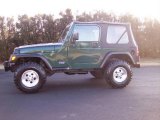 2001 Forest Green Jeep Wrangler SE 4x4 #25401182