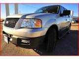 2006 Silver Birch Metallic Ford Expedition XLT 4x4 #2539725