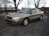 2007 Arizona Beige Metallic Ford Taurus SEL #25464348