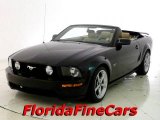 2006 Black Ford Mustang GT Premium Convertible #25464245