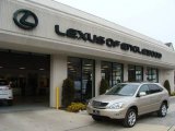 2008 Savannah Metallic Lexus RX 350 AWD #25501012