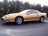 1998 Chevrolet Camaro Sport Gold Metallic