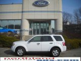 2010 White Suede Ford Escape XLT V6 4WD #25580771