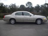 2009 Silver Birch Metallic Lincoln Town Car Signature Limited #25581097