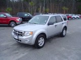 2009 Brilliant Silver Metallic Ford Escape XLT V6 #25632162