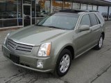 2004 Silver Green Metallic Cadillac SRX V6 #25632060