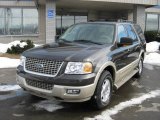 2006 Dark Stone Metallic Ford Expedition Eddie Bauer 4x4 #2565081