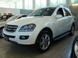 2008 Arctic White Mercedes-Benz ML 350 4Matic Edition 10 #25698318